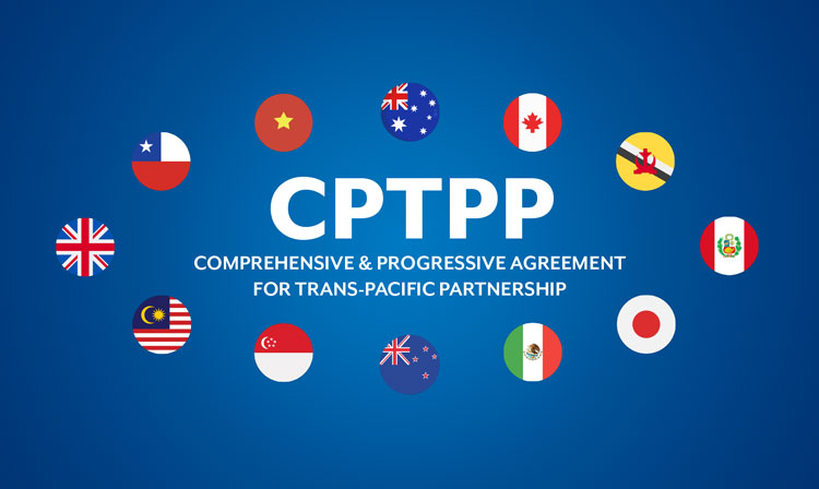 Leveraging Ghonor's Vietnam Factories and the CPTPP to Safeguard Your Future Profits Leveraging Ghonor's Vietnam Factories and the CPTPP to Safeguard Your Future Profits